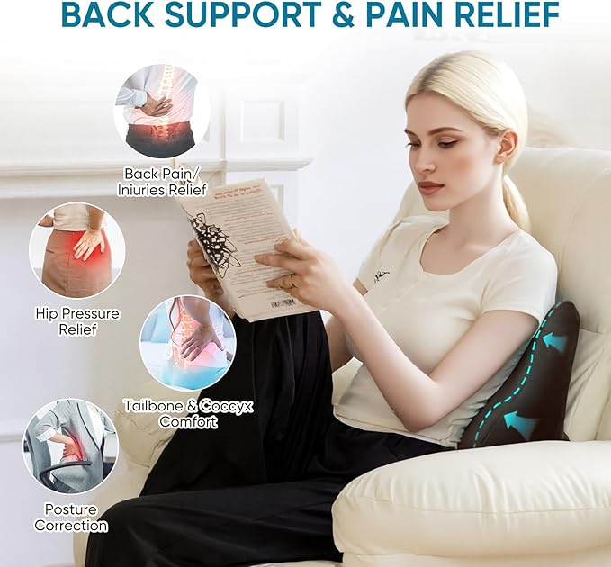 AHUAWA Back Support Pillow for Recliner Chair, Memory Foam Couch Back Cushions Ergonomic Large Lumbar Support Pillow for Lower Back Pain Relief, with Soft Velvet