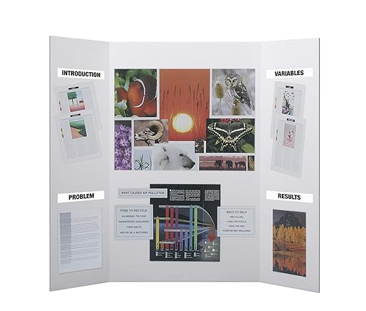 Flipside Products 36” x 48” Project Boards for Presentations, Science Fair, School Projects, Event Displays and Trifold Picture Board, Proudly Made in USA - Clay White - 10 Pack
