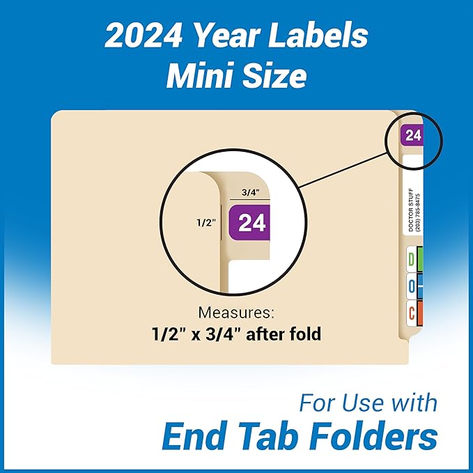 2024 MINI Year Labels, Doctor Stuff 2024 Chart Stickers, Purple Color Coded, Ames Small Style, USA Made Year Stickers for End Tab File Folders, 500/Roll, 1 Roll, 1/2" x 1-1/2"