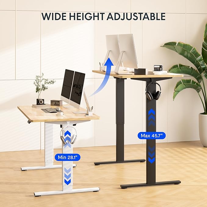 FLEXISPOT EN1 One-Piece Solid Wooden Standing Desk 48 x 24 Inches Height Adjustable Electric Sit Stand Home Office Desks (Silver Frame + Rubber Wood Top, 2 Packages)