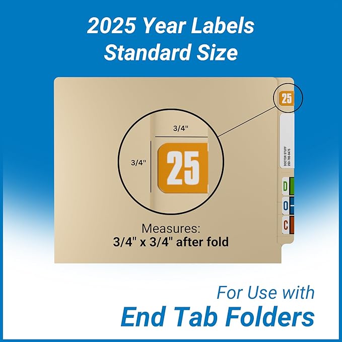 2025 Year Stickers, Doctor Stuff 2025 Chart Stickers, Safeguard Style Ringbook Sheets, Light Orange Color Coded, USA Made Year Labels for End Tab File Folders, 270/Package, 3/4" x 1-1/2"