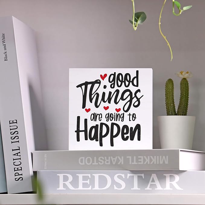 Double-Sided Wooden Box Sign, But Did You Document It Office Decor 2-in-1 Sayings Wood Block Signs, 5x5 Inches Reversible Table Centerpiece Decorations for Desk