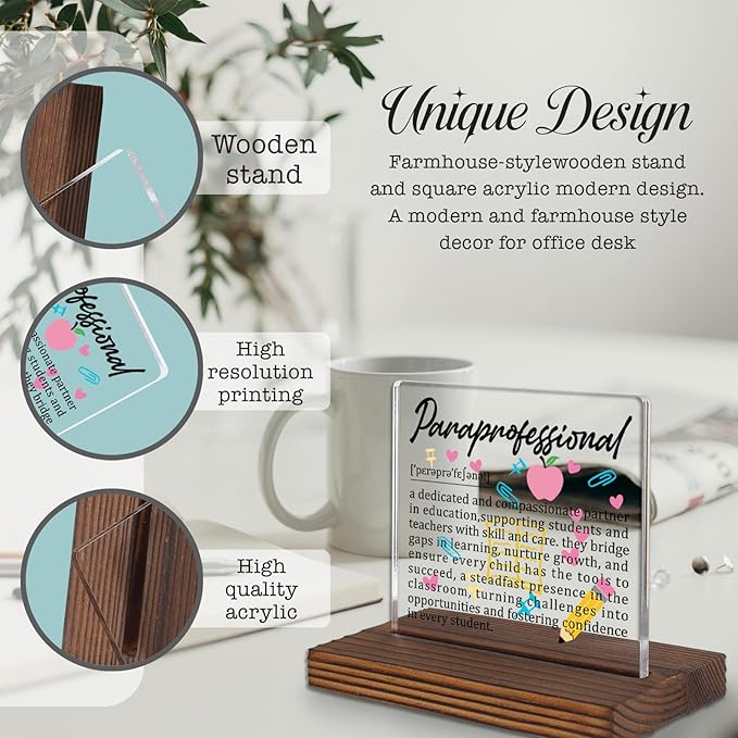 Paraprofessional Gifts, Thank You Desk Sign for Classroom Aides and Teacher Assistants, Appreciation Plaque for Educational Support Staff Office Decor PA036