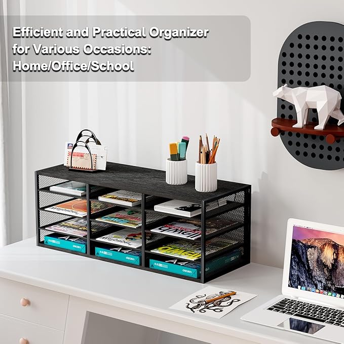 PAG-Mass Mail Sorter Adjustable Countertop Heavy Duty Literature Organizer Student Mailbox for Classroom Desktop Bill Paper Holder Rack for Office Home School, 12 Compartments, Black
