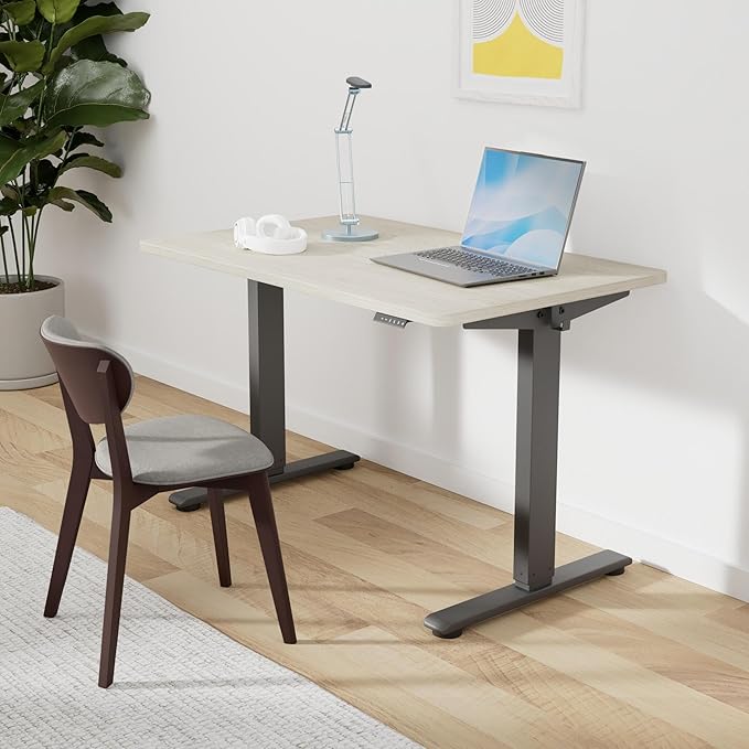 FLEXISPOT EN2 Whole-Piece Standing Desk with Clamp Power Strip, 48 x 30 Electric Stand Up Height Adjustable Desk with Cable Management (Black Frame + 48" Gray Wood Grain Desktop, 2 Packages)