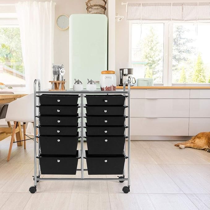 LDAILY 12 Drawer Rolling Storage Cart, Craft Cart Organizer on Wheels w/Metal Frame, Large Capacity & Smooth Drawer, Rolling Cart w/Drawers for Classroom, Office
