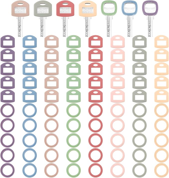 Blulu 80 Pcs Key Labels Key Color Covers Caps Tags Covers Set Plastic Keys Identifier Rings Toppers for Tags Organization House, 2 Styles(8 Morandi Color)