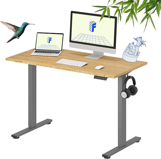 FLEXISPOT EN1 Bamboo Standing Desk, 48 x 24 Inches Whole-Piece Electric Height Adjustable Desk (Silver Frame + Bamboo Top, 2 Packages)
