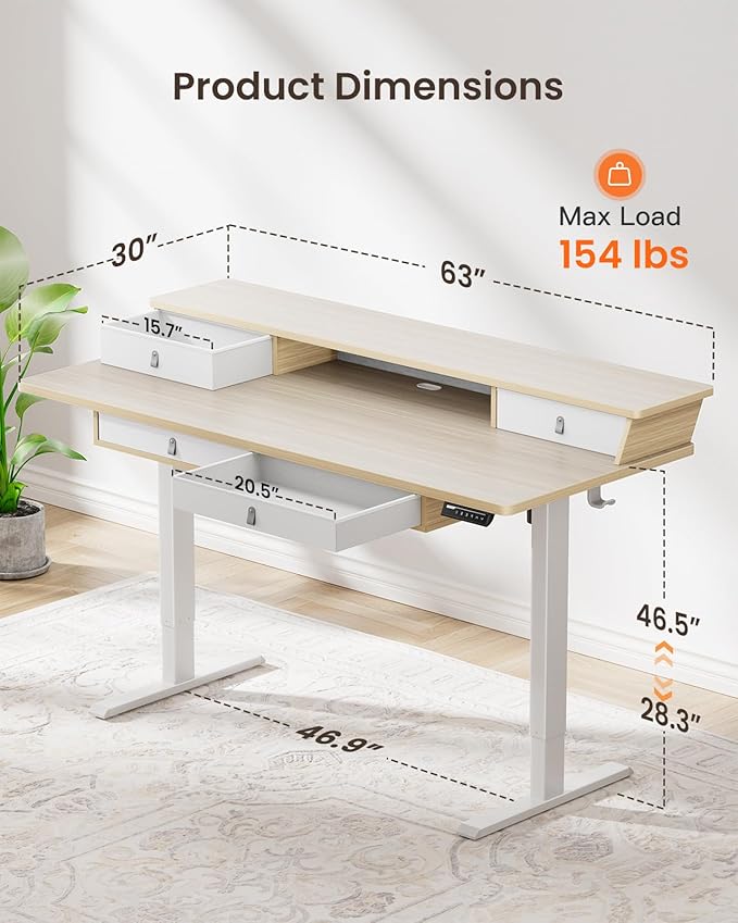 ErGear Electric Standing Desk with 4 Drawers, Height Adjustable Desk with Storage, C-Clamp Mount Compatible, Computer Home Office Table with Cable Management Tray