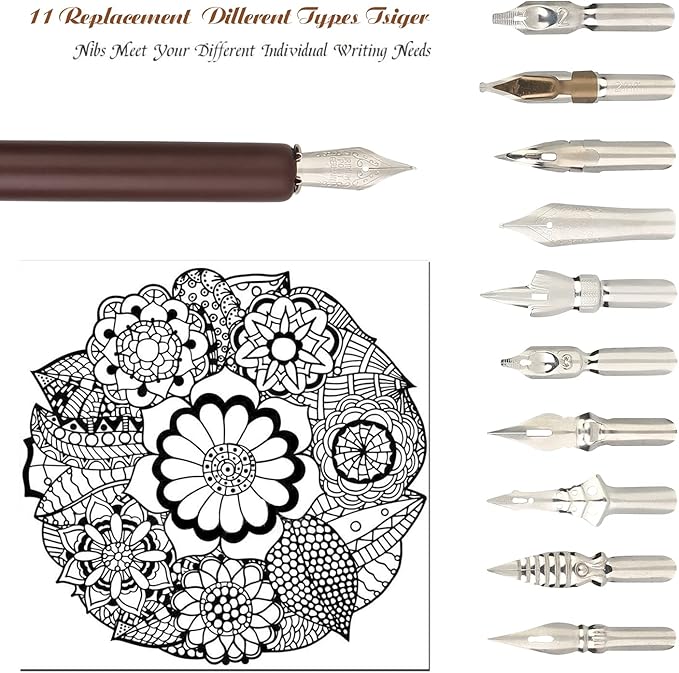 hhhouu Calligraphy Set for Beginners Quill Pen and Ink Set Fancy Pens with Black Ink and 11 Nibs for Lettering,Drawing, Journaling, Signing, Invitation HO-Q-301