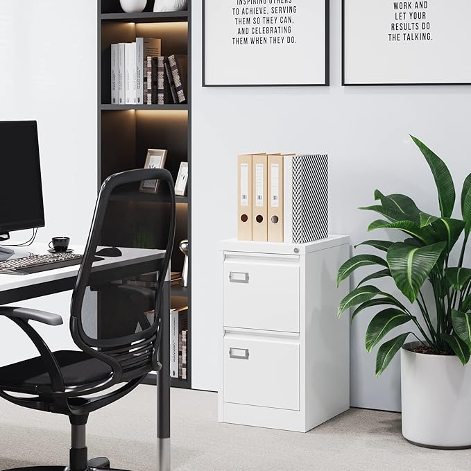 BYNSOE 2 Drawer File Cabinet with Lock Metal Vertical Filing Storage Cabinet Office Home Steel Vertical File Cabinets for A4 Legal/Letter Size Narrow File Cabinet Locked,Assembly Required