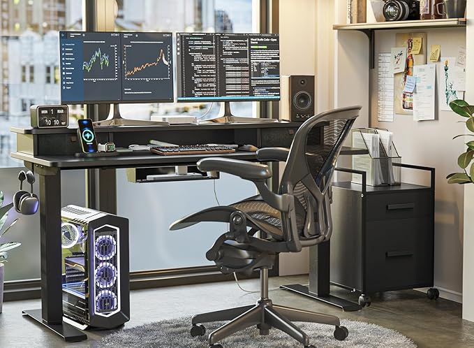 FEZIBO 55 x 24 Inch Height Adjustable Electric Standing Desk with Double Drawer, Stand Up Desk with Storage Shelf, Sit Stand Desk, Black