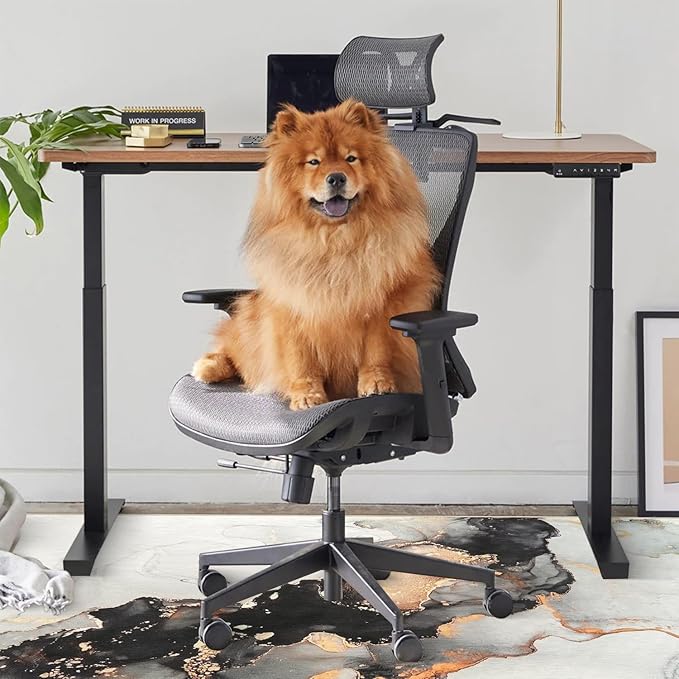 Anidaroel Office Chair Mat for Hardwood/Tile Floor, 36"x48" Desk Chair Mat for Office Gaming, Under Desk Rug for Rolling Chair, Anti-Slip Computer Chair Mats, Low-Pile Carpet Protector Rug
