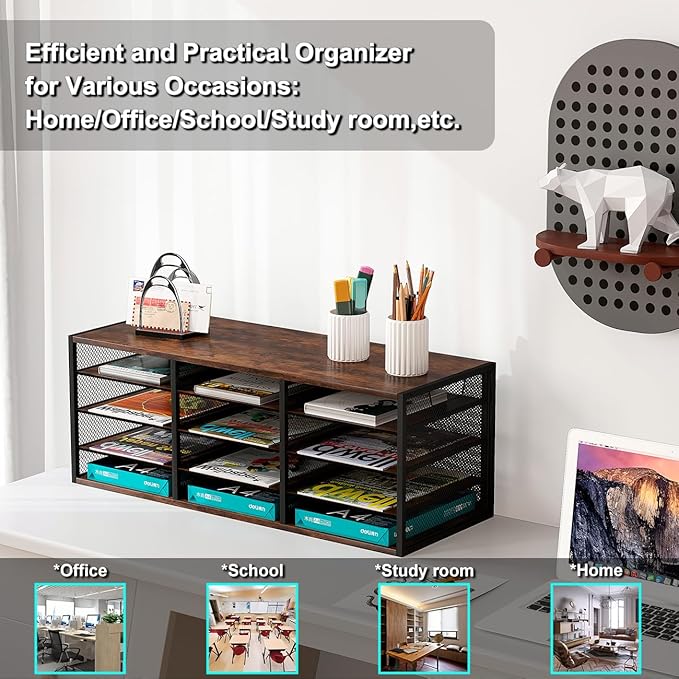 PAG-Mass Mail Sorter Adjustable Holder, Countertop Literature Organizer, Student Mailbox for Classroom, Desktop Bill Paper Organizer for Office Home School, 12 Compartments, Brown