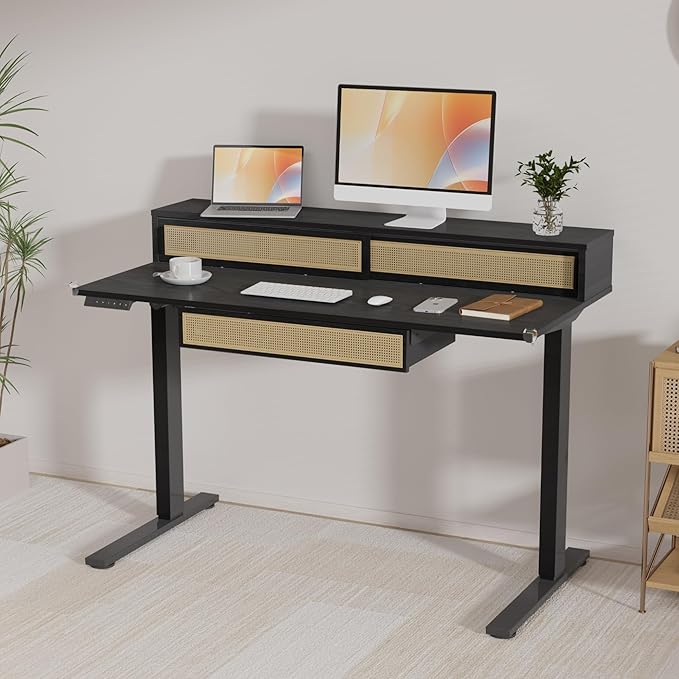FLEXISPOT Q4 One-Piece Standing Desk with Rattan Drawers, 48 x 24 Inch Adjustable Height, Electric Stand Up Table with Monitor Shelf, Home Office Ergonomic Computer Desk with Memory Presets, Black