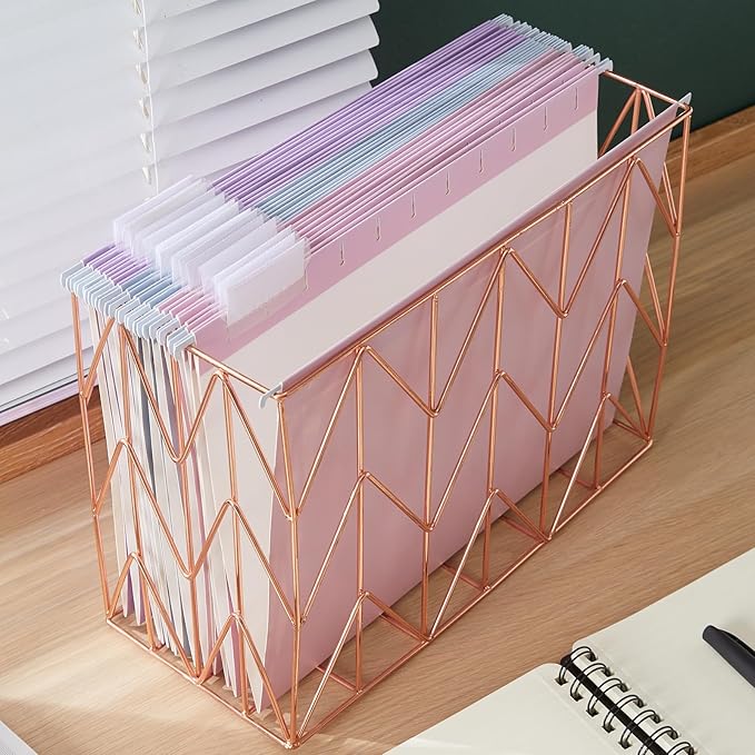 Fei Bi Hanging File Organizer, File Organizer, File Box, Rose Gold File Box, File Storage, equipped with 12 letter sized hanging folders