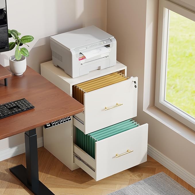 GFGWXW 2 Drawer Vertical File Cabinet with Lock, Suitable for Letter/A4/F4/Legal Size Hanging Files,Small Wood Filing Storage Cabinets Printer Stand for Home Office,White