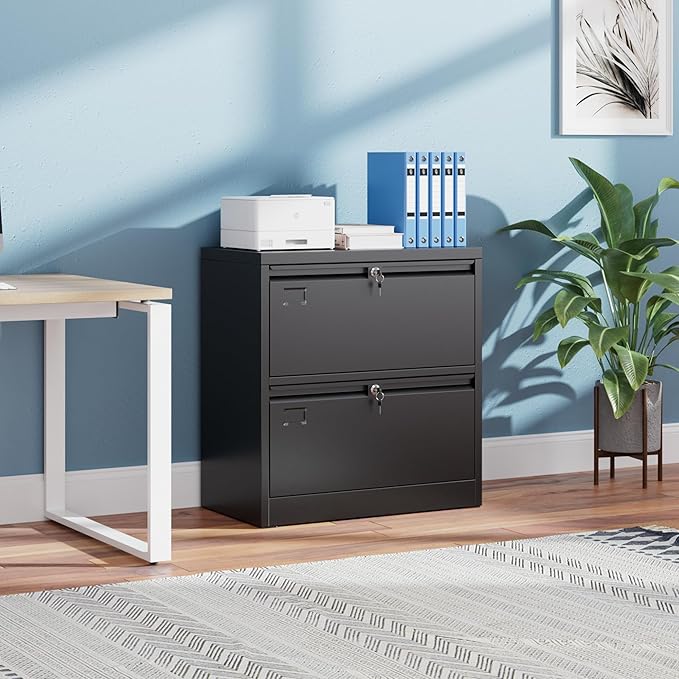 SUXXAN Metal 2 Drawer Lateral File Cabinet with Lock - Wide Filing Cabinet for Letter/Legal/F4/A4 Hanging Files - Includes Business Card Holder,Home Office School Storage,Black