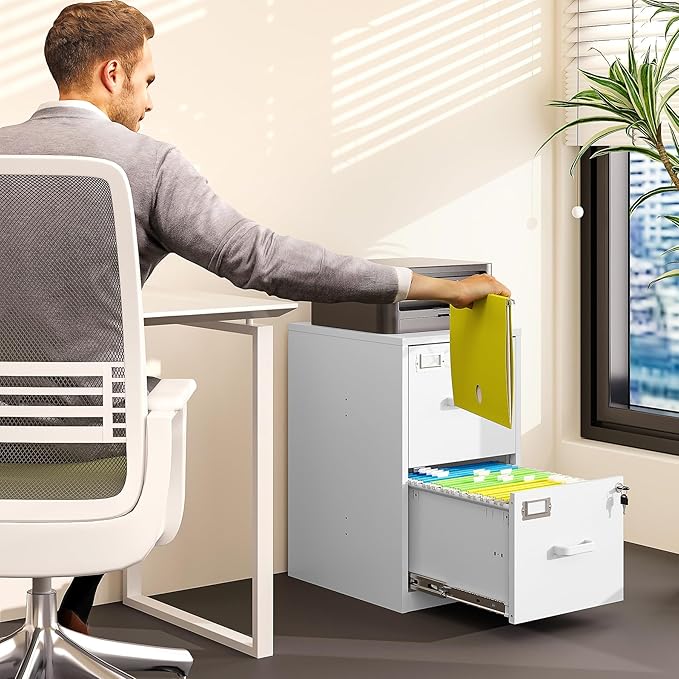 BYNSOE 2 Drawer File Cabinet with Lock Vertical Filing Storage Office Home Steel Vertical File Cabinets for Letter Size File Cabinet Locked,Assembly Required