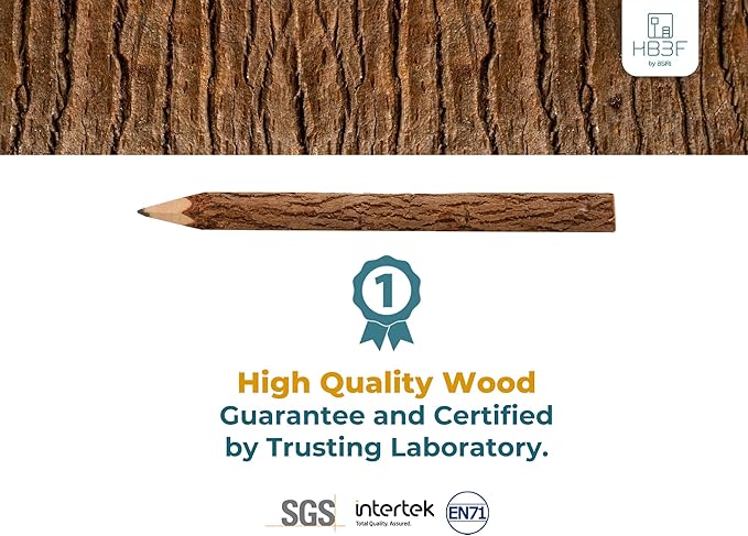 BSIRI Wooden Pencils Rustic Bark Twig Natural Wood Pencil 12 Pack 5 Inch for Kids Classroom Woodland Party Favors Camping Day Decorations Camp Themed Supplies Novelty Gifts