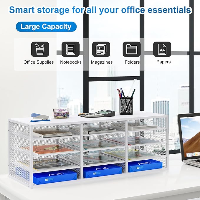 PAG-Mass Mail Sorter Adjustable Countertop Mail Holder, Heavy Duty Literature Organizer, Student Mailbox for Classroom, Desktop Bill Paper Organizer for Office Home School, 12 Compartments, White