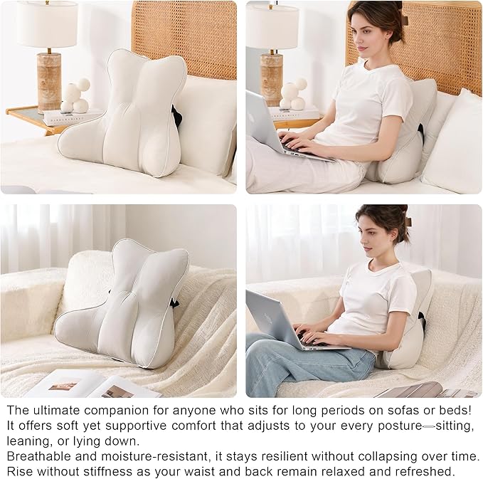 Ailuteie Lumbar Support Pillow(Pat. Pend) – Multi-Functional Ergonomic Back Cushion for Sofa Chair, Car Seat & Sofa, Reading Pillow with Firm Multi-Zone Support to Relieve Lower Back Pain, Misty White