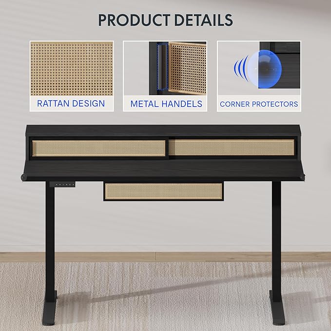 FLEXISPOT Q4 One-Piece Standing Desk with Rattan Drawers, 48 x 24 Inch Adjustable Height, Electric Stand Up Table with Monitor Shelf, Home Office Ergonomic Computer Desk with Memory Presets, Black