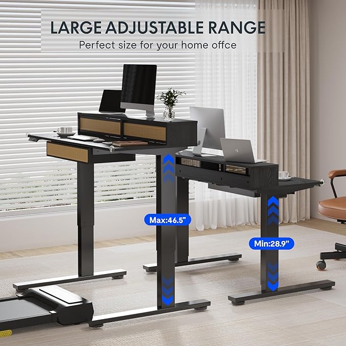 FLEXISPOT Q4 One-Piece Standing Desk with Rattan Drawers, 48 x 24 Inch Adjustable Height, Electric Stand Up Table with Monitor Shelf, Home Office Ergonomic Computer Desk with Memory Presets, Black
