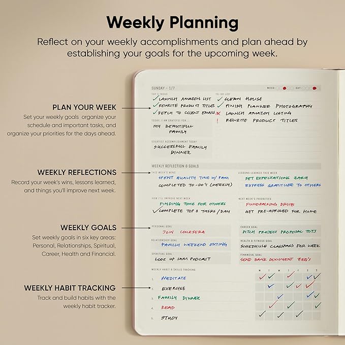 Dated, 2026 Planner, 8.5" x 11" - The #1 Productivity Planner to Achieve Your 2026 Goals - Planner 2026-2027 by PRODUCTIVITY STORE (A4, PINK)