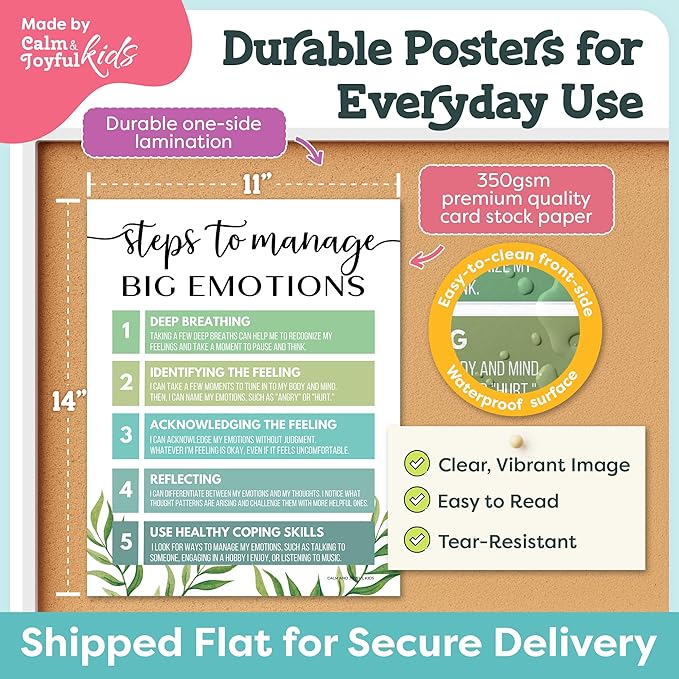 Mental Health Posters - 12 PCS (11"x14") - Coping Skills, Boundary Statements and Growth Mindset for Classroom, Therapy Office, Counseling Decor, Mental Health Gifts, School Counselor, Psych Supplies