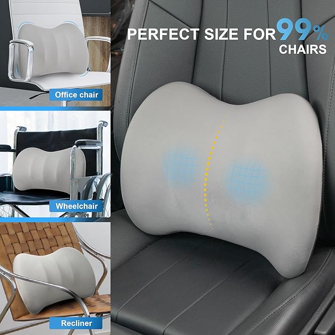 Lumbar Support Pillow for Car, Memory Foam Lumbar Pillow for Lower Back Pain Relief - Back Cushion for Driving, Chair Support for Car-Office Chair, Wheelchair - Matte Gray