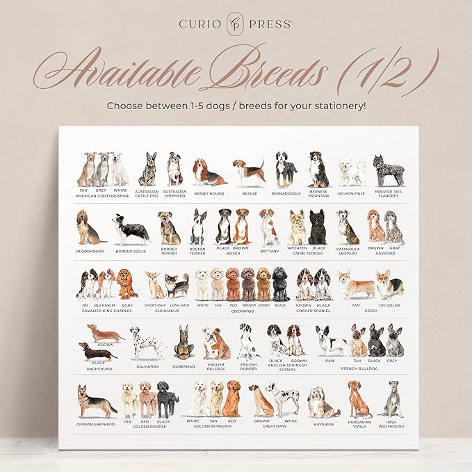 Personalized Stationery Dog Themed Note Pads, Choose from 85 Breeds Dog Stationery Set, Personalized Notepads for Dog Lovers, as Gift or To-do List Stationary, Lined/Unlined Custom Notepads - Dogs Pad