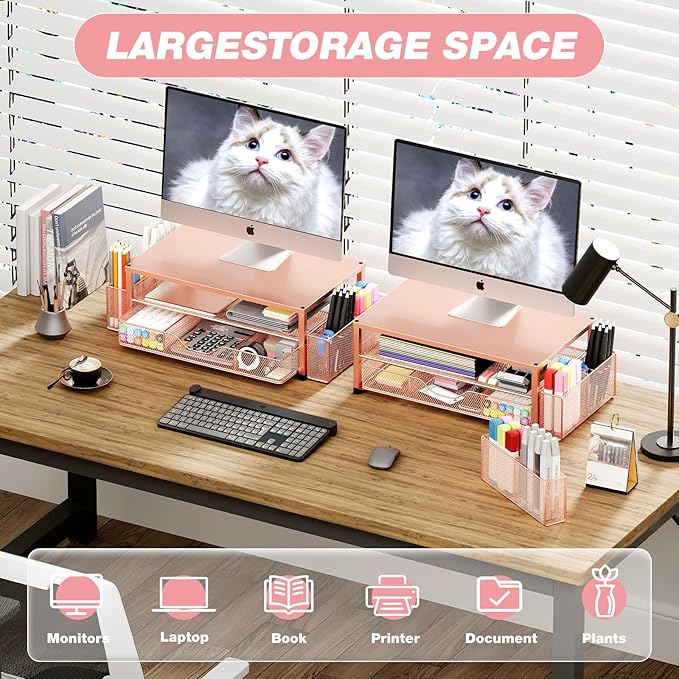 OPNICE Desk Organizers and Accessories, 2-Tier Computer Monitor Stand with Drawer and 2 Pen Holders, Laptop Stand, Office Desk Accessories for Office Supplies, Rose Gold