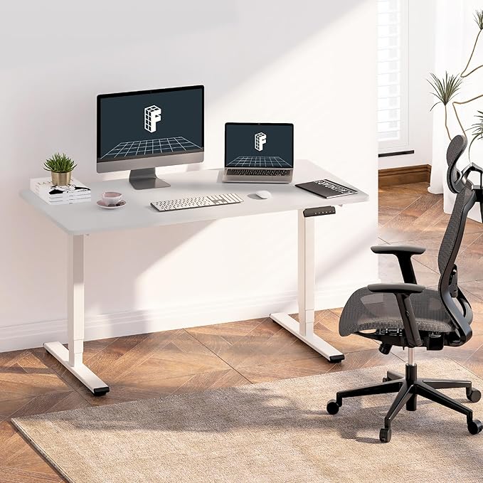 FLEXISPOT E6 3-Stage Dual Motor Electric Standing Desk 48 x 24 Sit Stand Up Desk, Holds 220 lbs, Adjustable Height w/Memory Presets, One-Piece White Desktop & White Frame, Ships in 2 Boxes