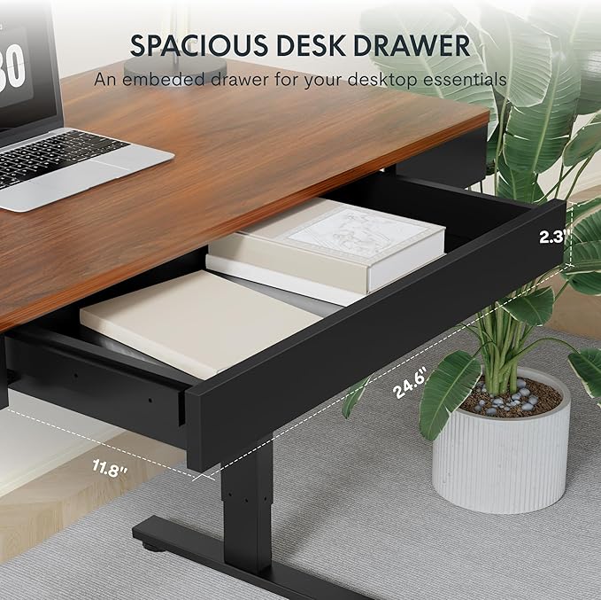 FLEXISPOT Q5 Standing Desk with Drawer, 48 x 24 Inch Electric Adjustable Height Stand Up Desk with Storage Organizer, Whole Piece Wooden Desktop for Home, Office, Computer Workstation, Dark Walnut