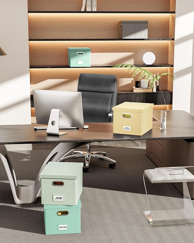 Oterri Storage File Box(New) (Mint-green(Leather), 1 pack), AM03118