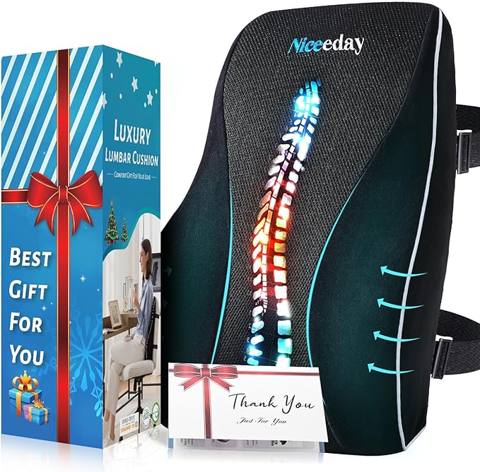 Lumbar Support Pillow for Office Chair Car, Gaming Chair Lower Back Pain Relief Memory Foam Cushion with Greeting Card,3D Mesh Cover Ergonomic Back Rest, Birthday Gift for Dad,Stocking Stuffers
