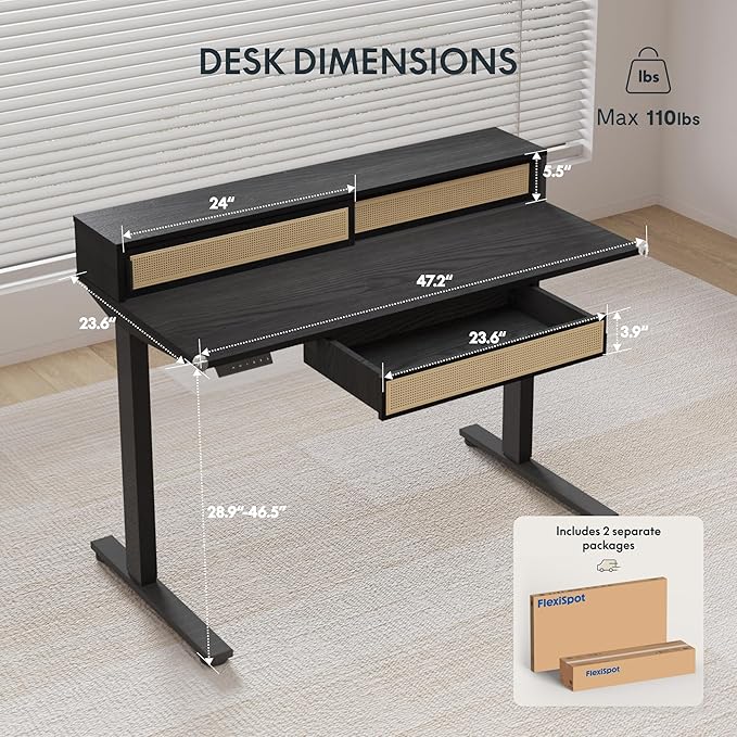 FLEXISPOT Q4 One-Piece Standing Desk with Rattan Drawers, 48 x 24 Inch Adjustable Height, Electric Stand Up Table with Monitor Shelf, Home Office Ergonomic Computer Desk with Memory Presets, Black