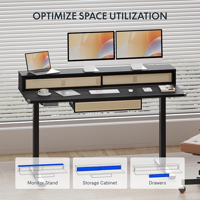 FLEXISPOT Q4 One-Piece Standing Desk with Rattan Drawers, 48 x 24 Inch Adjustable Height, Electric Stand Up Table with Monitor Shelf, Home Office Ergonomic Computer Desk with Memory Presets, Black