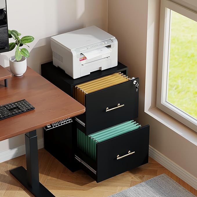 GFGWXW 2 Drawer Vertical File Cabinet with Lock, Suitable for Letter/A4/F4/Legal Size Hanging Files,Small Wood Filing Storage Cabinets Printer Stand for Home Office,Black