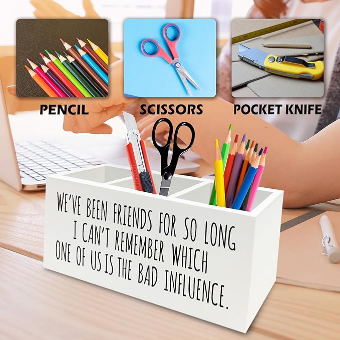 QZQE Funny Sarcastic Friendship Pen Pencil Holder Organizer for Desk, Humorous Gifts, We've Been Friends for So Long I Can't Remember Which Wooden Box Signs Decor for Home Office Desk Tabletop