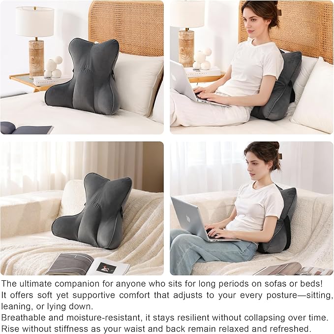 Ailuteie Lumbar Support Pillow(Pat. Pend) – Ergonomic Multi-Zone Back Cushion for Lower Back Pain Relief, Ideal for Office Chair, Car Seat & Home Reading,Steel Gray