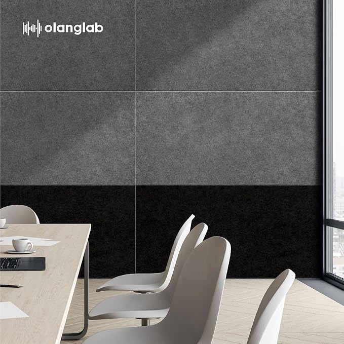 Olanglab Acoustic Wall Panels 10 Pack, 48 x 24 per Acoustic Panels Sound Absorbing, Sound Panels for Home Studio and Office, Plain Dark Gray