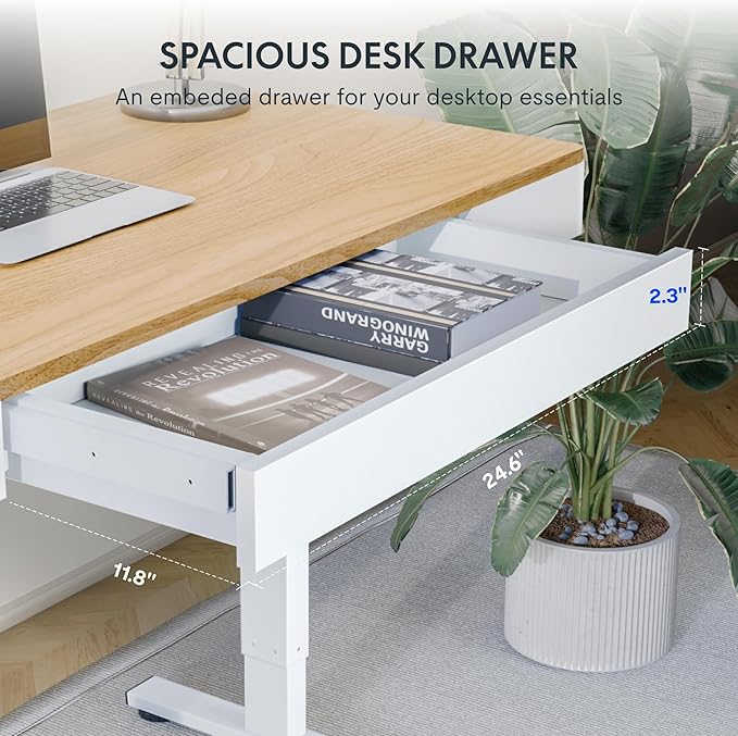 FLEXISPOT Q5 Standing Desk with Drawer, 48 x 24 Inch Electric Adjustable Height Stand Up Desk with Storage Organizer, Whole Piece Wooden Desktop for Home, Office, Computer Workstation, Maple