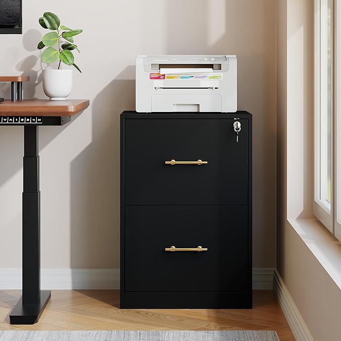 GFGWXW 2 Drawer Vertical File Cabinet with Lock, Suitable for Letter/A4/F4/Legal Size Hanging Files,Small Wood Filing Storage Cabinets Printer Stand for Home Office,Black