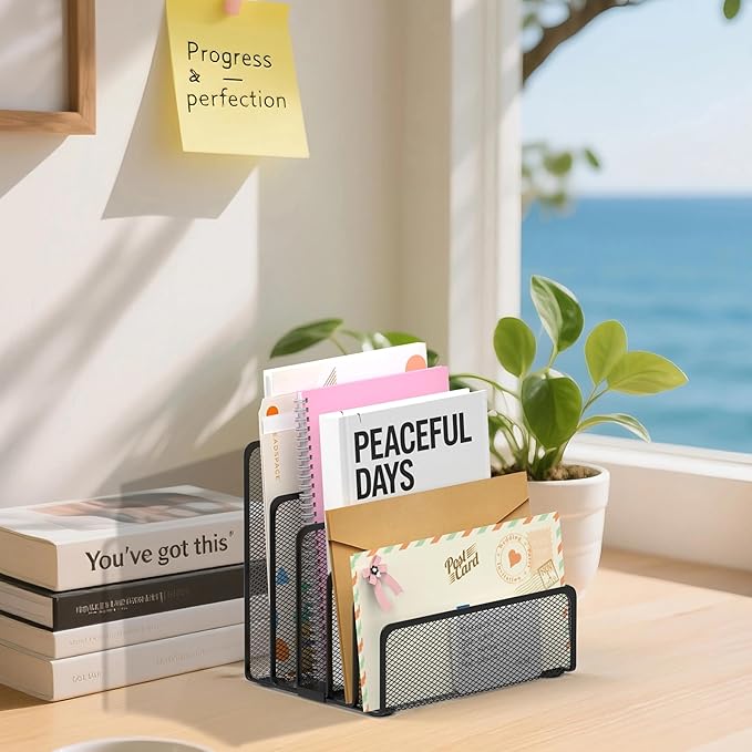 ReePlan Mail Organizer with 5 Slot, Metal Mail Holder for Desk, Office File Holder Letter Organizer for Mails (Black)