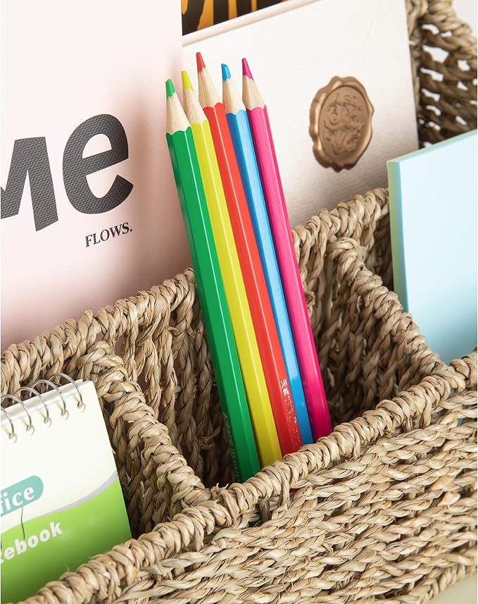 DINGTAI Mail Organizer Countertops, Desk Organizer Bills Organizer, Mail Sorters Organizers, Pencil Holder Magazine File Holder, Desk Organizer and Accessories(Seagrass)
