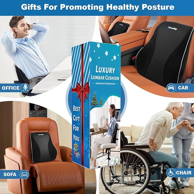 Lumbar Support Pillow for Office Chair Car, Gaming Chair Lower Back Pain Relief Memory Foam Cushion with Greeting Card,3D Mesh Cover Ergonomic Back Rest, Birthday Gift for Dad,Stocking Stuffers