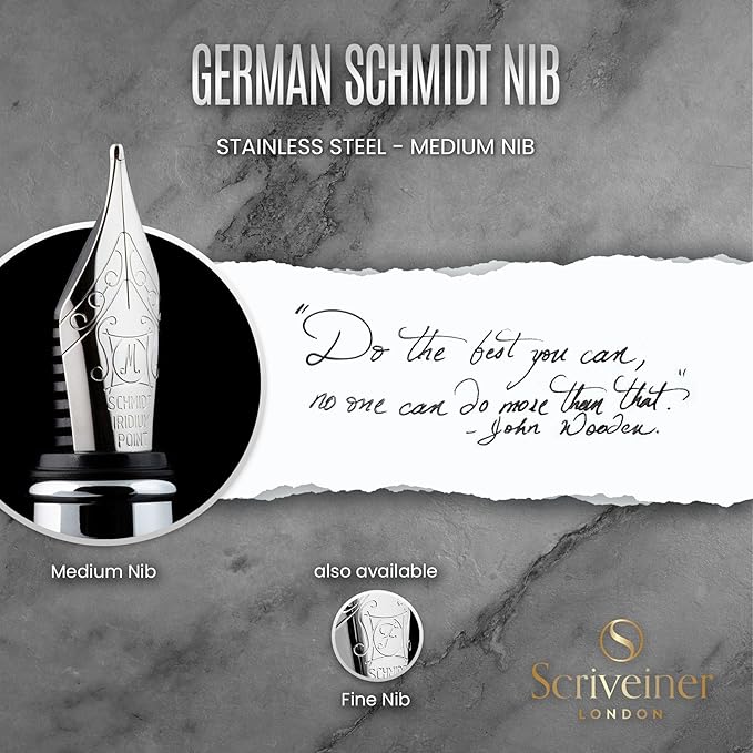 Scriveiner Stainless Steel Fountain Pen - Stunning Luxury Pen with Steel Finish, Schmidt Steel Nib (Medium), Pen Gift Set for Men & Women, Professional, Executive Office, Nice Designer Pens