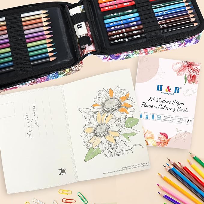 H & B Art Supplies, 72 Pack Drawing Supplies for Adults, Drawing Kit with Drawing Book, Coloring Book, Watercolor, Metallic Charcoal Macaron Oil-Based Coloured Pencils for Artists